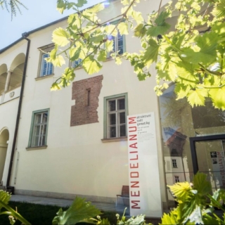 Moravské zemské muzeum v Brně