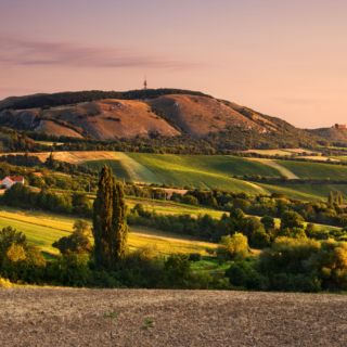 Pálava, foto: Czech tourism
