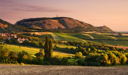 Pálava, foto: Czech tourism