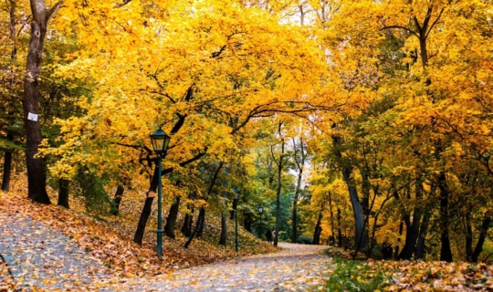 Park Spielberg unterhalb der gleichnamigen Burg, Autor Františka Uřičářová