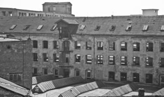 vlnena