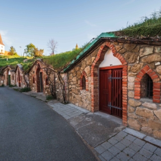 Vrbice, foto: Jakub Minka