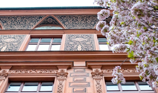 Jaselská 7, detail