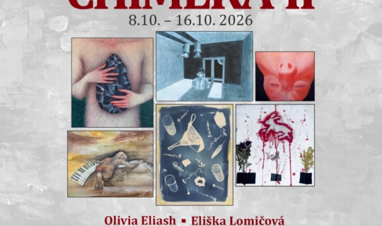 výstava obrazů